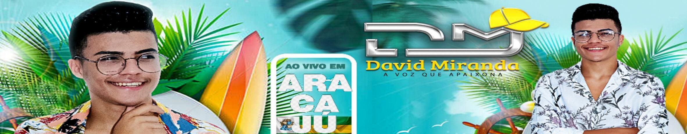 Imagem de capa de DAVID MIRANDA