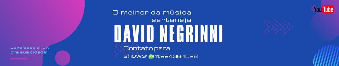 Imagem de capa de David Negrinni
