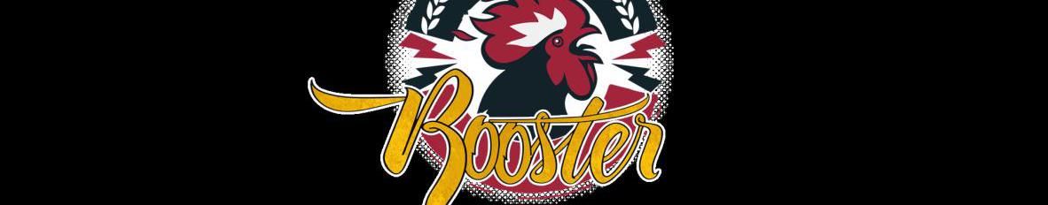 Imagem de capa de Rooster Punk Rock