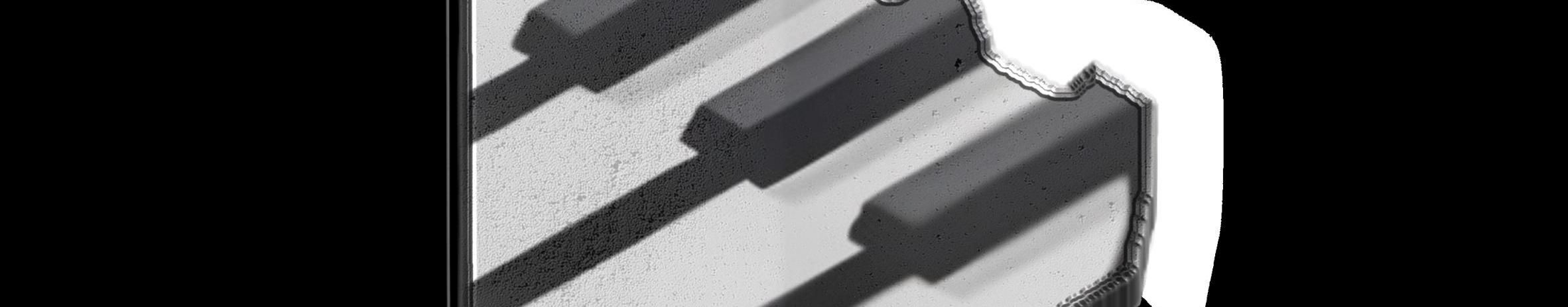 Imagem de capa de forró do pica pau