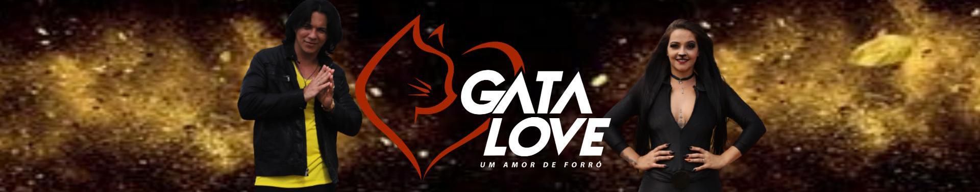 Imagem de capa de BANDA GATA LOVE PISEIRO na Capital 2020