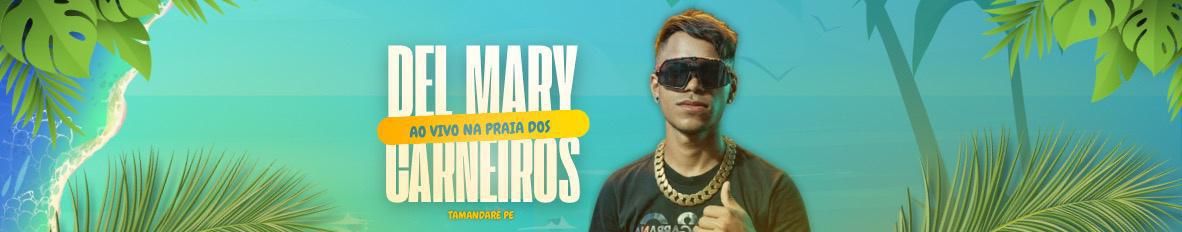 Imagem de capa de Delmary