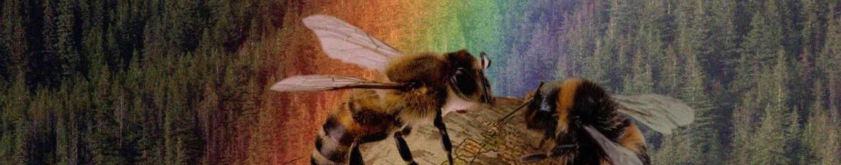 Imagem de capa de Extinction of the Bees