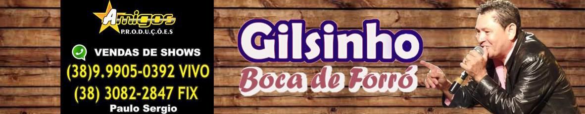 Imagem de capa de GILSINHO BOCA DE FORRÓ