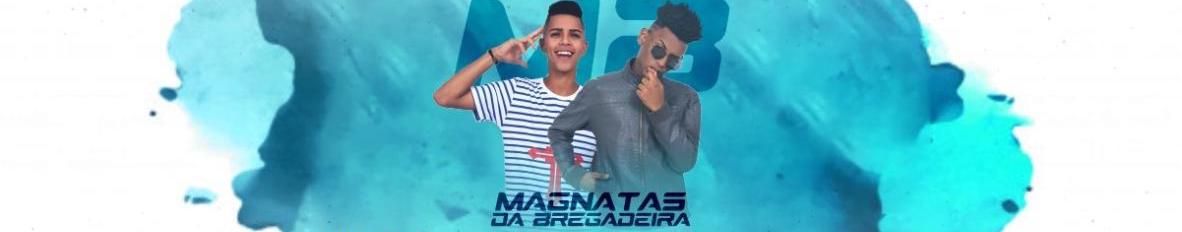 Imagem de capa de Magnatas da Bregadeira