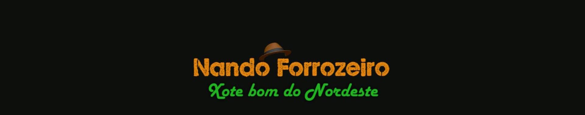 Imagem de capa de Nando Forrozeiro