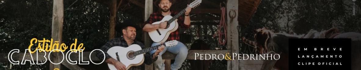 Imagem de capa de Pedro e Pedrinho