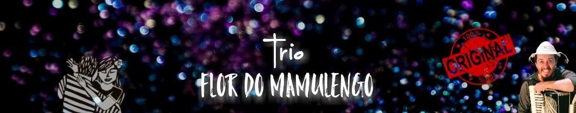 Imagem de capa de Trio Flor do Mamulengo