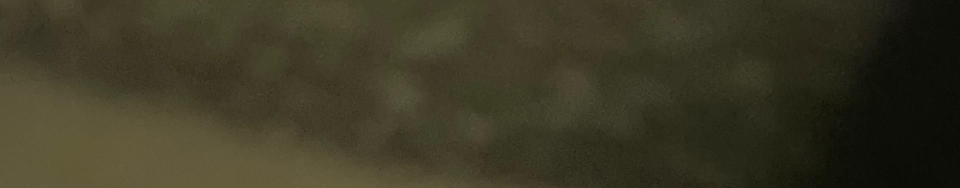 Imagem de capa de CAIO DOURADO