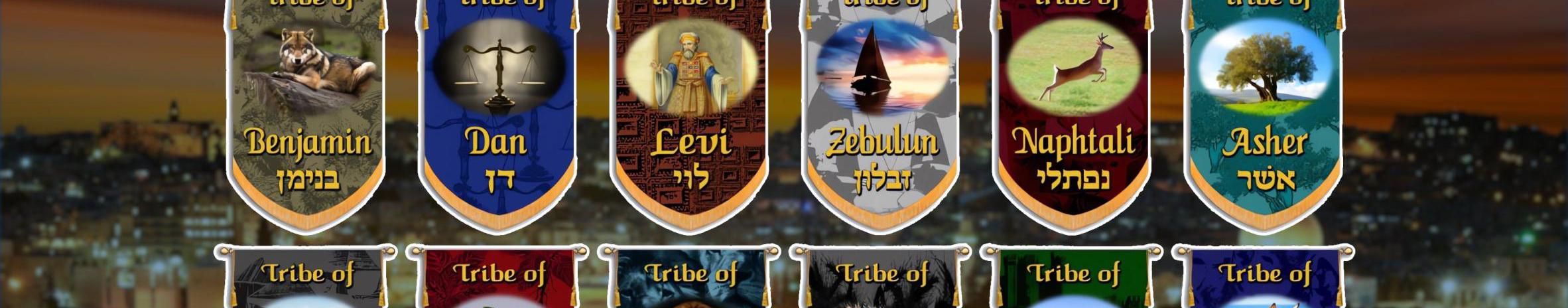 Imagem de capa de Ministério de Louvor Emunah e Chayim