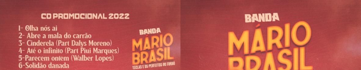 Imagem de capa de MARIO BRASIL TECLAS E OS PERFEITOS DO FORRÓ