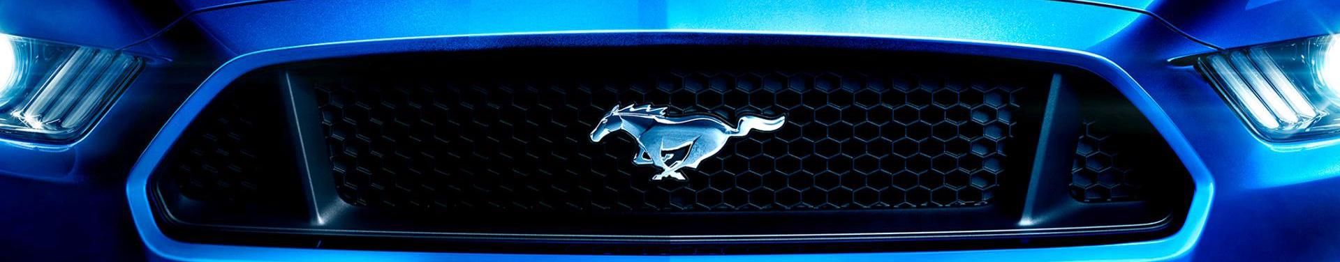 Imagem de capa de Mister Acacio