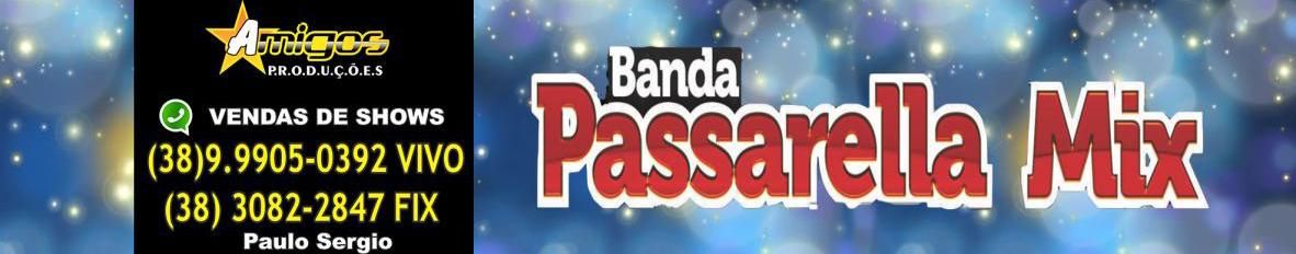 Imagem de capa de Banda Passarela do Arrocha