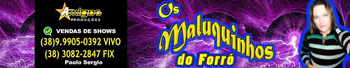 Imagem de capa de Os Maluquinhos Do Forro