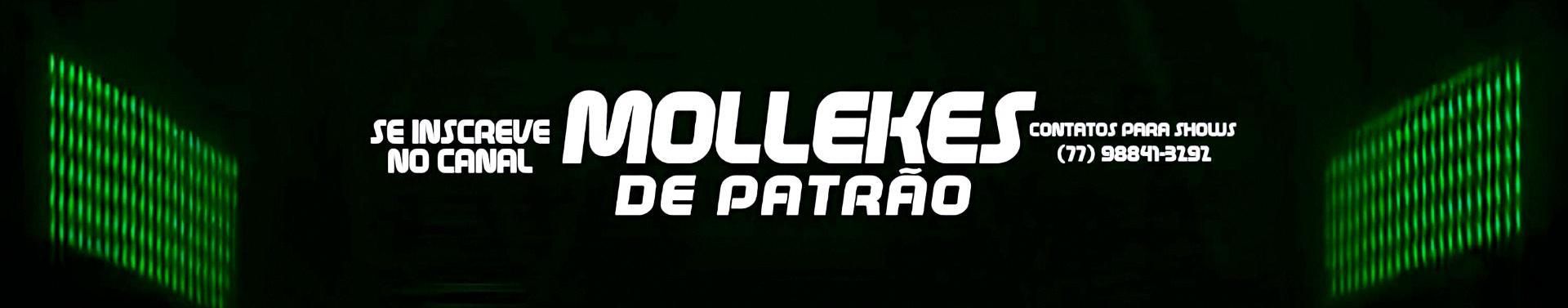 Imagem de capa de Forró Mollekes de Patrão