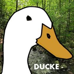 Ducke