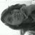 leticia