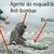 Vinicius