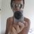 vitor