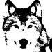 Wolf Video Productions