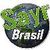 Sayrbrasil
