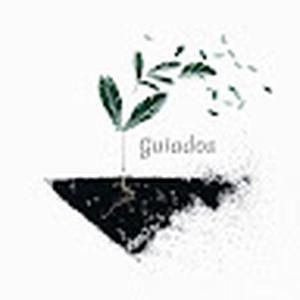 Guiados