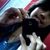 Beatriz