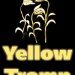 Yellow Tromp