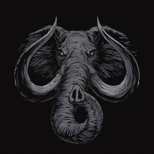 Elefante