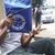 SávioNunesLM