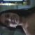 Larah