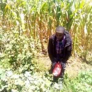 #KingsMainaMSsteve#Music