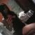 Andresquinha
