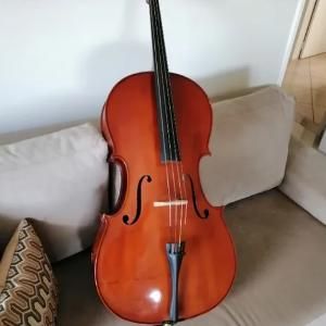 violinomedis