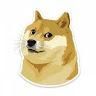 Doge
