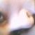 Thaiana