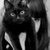 Eduarda