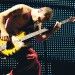 Flea.basS