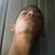Nilton