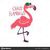 Flamingas