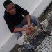 Kalebe