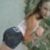 Loirinha