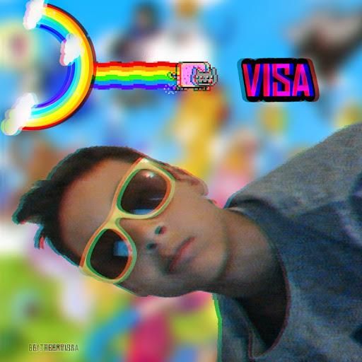 TheMrVisa