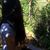Milene