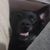 Bruno