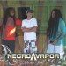 NegroaVapor