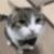 yako