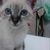Liliane