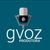Gvoz