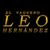 LEO